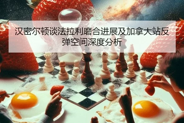 han-mi-er-dun-tan-fa-la-li-mo-he-jin-zhan-ji-jia-na-da-zhan-fan-tan-kong-jian-shen-du-fen-xi-2-460.jpg